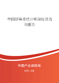 中國鋼帶液位計(jì)項(xiàng)目投資咨詢報(bào)告