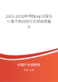 2025-2031年中國orp測量儀行業(yè)市場調(diào)研與前景趨勢報告