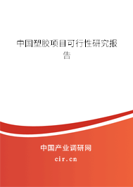 中國(guó)塑膠項(xiàng)目可行性研究報(bào)告