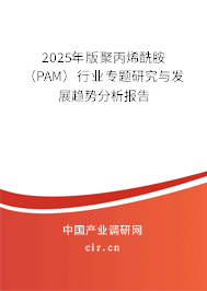 2025年版聚丙烯酰胺（PAM）行業(yè)專題研究與發(fā)展趨勢分析報告