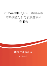 2025年中國2,4,5-三氯硝基苯市場調(diào)查分析與發(fā)展前景研究報告