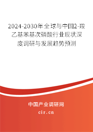 2024-2030年全球與中國(guó)2-羧乙基苯基次磷酸行業(yè)現(xiàn)狀深度調(diào)研與發(fā)展趨勢(shì)預(yù)測(cè)