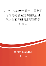 2024-2030年全球與中國電子倍增電荷耦合器件相機行業(yè)現(xiàn)狀全面調(diào)研與發(fā)展趨勢分析報告