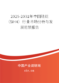2025-2031年中國硅烷（SiH4）行業(yè)市場分析與發(fā)展前景報(bào)告