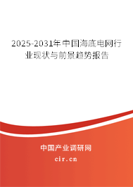 2025-2031年中國海底電網(wǎng)行業(yè)現(xiàn)狀與前景趨勢報告