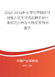2025-2031年全球與中國經(jīng)導管植入式無導線起搏系統(tǒng)行業(yè)研究分析及市場前景預測報告
