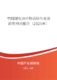 中國(guó)鋰電池市場(chǎng)調(diào)研與發(fā)展趨勢(shì)預(yù)測(cè)報(bào)告（2025年）
