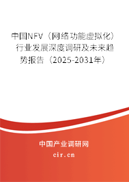 中國NFV（網(wǎng)絡(luò)功能虛擬化）行業(yè)發(fā)展深度調(diào)研及未來趨勢報告（2025-2031年）