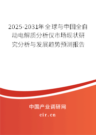 2025-2031年全球與中國全自動電解質分析儀市場現(xiàn)狀研究分析與發(fā)展趨勢預測報告