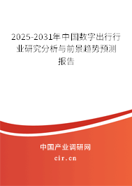 2025-2031年中國數(shù)字出行行業(yè)研究分析與前景趨勢預(yù)測報告