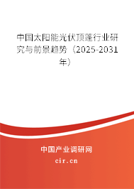 中國(guó)太陽能光伏頂蓬行業(yè)研究與前景趨勢(shì)（2025-2031年）
