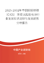 2025-2031年中國銅銦鎵硒（CIGS）薄膜太陽能電池行業(yè)發(fā)展現(xiàn)狀調(diào)研與發(fā)展趨勢分析報告