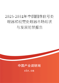 2025-2031年中國圖像信號處理器和視覺處理器市場現(xiàn)狀與發(fā)展前景報告