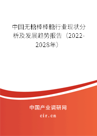 中國(guó)無(wú)糖棒棒糖行業(yè)現(xiàn)狀分析及發(fā)展趨勢(shì)報(bào)告（2022-2028年）