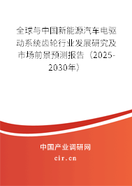 全球與中國新能源汽車電驅(qū)動系統(tǒng)齒輪行業(yè)發(fā)展研究及市場前景預(yù)測報告（2025-2030年）