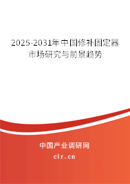 2025-2031年中國(guó)修補(bǔ)固定器市場(chǎng)研究與前景趨勢(shì)