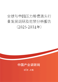 全球與中國壓力補償?shù)晤^行業(yè)發(fā)展調(diào)研及前景分析報告（2025-2031年）