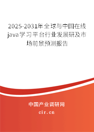 2025-2031年全球與中國在線java學(xué)習(xí)平臺行業(yè)發(fā)展研及市場前景預(yù)測報告