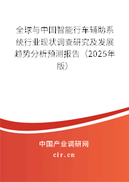 全球與中國智能行車輔助系統(tǒng)行業(yè)現(xiàn)狀調(diào)查研究及發(fā)展趨勢分析預(yù)測報告（2025年版）