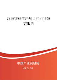 超細(xì)鎳粉生產(chǎn)項(xiàng)目可行性研究報(bào)告