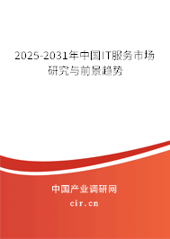 2025-2031年中國(guó)IT服務(wù)市場(chǎng)研究與前景趨勢(shì)