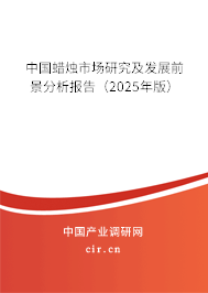 中國蠟燭市場研究及發(fā)展前景分析報告（2025年版）