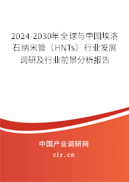 2024-2030年全球與中國(guó)埃洛石納米管（HNTs）行業(yè)發(fā)展調(diào)研及行業(yè)前景分析報(bào)告