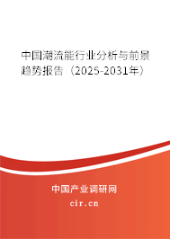 中國(guó)潮流能行業(yè)分析與前景趨勢(shì)報(bào)告（2025-2031年）