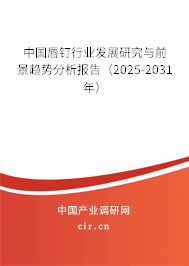 中國唇釘行業(yè)發(fā)展研究與前景趨勢分析報告（2025-2031年）