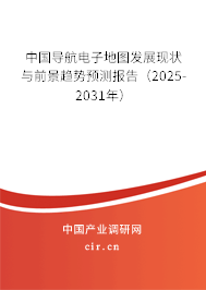 中國(guó)導(dǎo)航電子地圖發(fā)展現(xiàn)狀與前景趨勢(shì)預(yù)測(cè)報(bào)告（2025-2031年）
