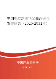 中國電壁爐市場全面調(diào)研與發(fā)展趨勢（2024-2030年）