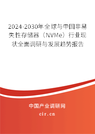 2024-2030年全球與中國非易失性存儲器（NVMe）行業(yè)現(xiàn)狀全面調(diào)研與發(fā)展趨勢報告