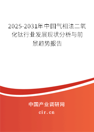 2025-2031年中國氣相法二氧化鈦行業(yè)發(fā)展現(xiàn)狀分析與前景趨勢報告