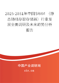 2025-2031年中國(guó)SRAM （靜態(tài)隨機(jī)存取存儲(chǔ)器）行業(yè)發(fā)展全面調(diào)研及未來(lái)趨勢(shì)分析報(bào)告
