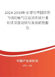 2024-2030年全球與中國(guó)商用飛機(jī)輪胎氣壓監(jiān)測(cè)系統(tǒng)行業(yè)現(xiàn)狀深度調(diào)研與發(fā)展趨勢(shì)報(bào)告