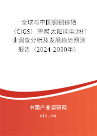 全球與中國銅銦鎵硒（CIGS）薄膜太陽能電池行業(yè)調(diào)查分析及發(fā)展趨勢預(yù)測報(bào)告（2024-2030年）