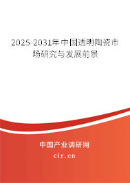 2025-2031年中國(guó)透明陶瓷市場(chǎng)研究與發(fā)展前景