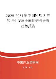 2025-2031年中國吲哚-2-羧酸行業(yè)發(fā)展全面調(diào)研與未來趨勢報告