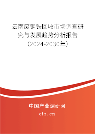 云南廢鋼鐵回收市場調(diào)查研究與發(fā)展趨勢分析報告（2024-2030年）