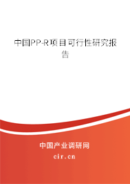 中國(guó)PP-R項(xiàng)目可行性研究報(bào)告