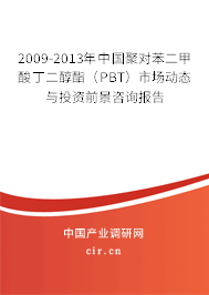 2009-2013年中國(guó)聚對(duì)苯二甲酸丁二醇酯（PBT）市場(chǎng)動(dòng)態(tài)與投資前景咨詢(xún)報(bào)告