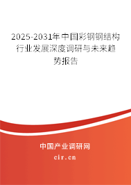2025-2031年中國彩鋼鋼結構行業(yè)發(fā)展深度調研與未來趨勢報告