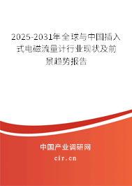 2025-2031年全球與中國插入式電磁流量計(jì)行業(yè)現(xiàn)狀及前景趨勢報(bào)告