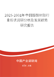 2025-2031年中國醇酸樹脂行業(yè)現(xiàn)狀調(diào)研分析及發(fā)展趨勢研究報(bào)告