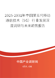 2025-2031年中國(guó)第五代移動(dòng)通信技術(shù)（5G）行業(yè)發(fā)展深度調(diào)研與未來(lái)趨勢(shì)報(bào)告