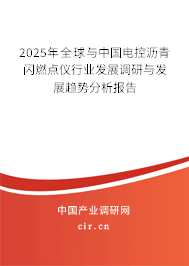 2025年全球與中國電控瀝青閃燃點儀行業(yè)發(fā)展調研與發(fā)展趨勢分析報告