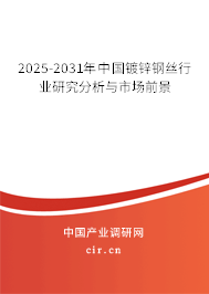 2025-2031年中國鍍鋅鋼絲行業(yè)研究分析與市場前景