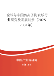 全球與中國負離子陶瓷球行業(yè)研究及發(fā)展前景（2025-2031年）