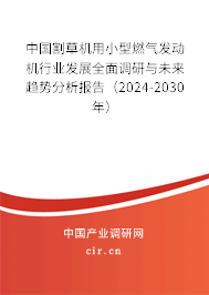 中國(guó)割草機(jī)用小型燃?xì)獍l(fā)動(dòng)機(jī)行業(yè)發(fā)展全面調(diào)研與未來(lái)趨勢(shì)分析報(bào)告（2024-2030年）