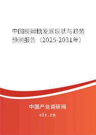 中國膠姆糖發(fā)展現(xiàn)狀與趨勢(shì)預(yù)測(cè)報(bào)告（2025-2031年）